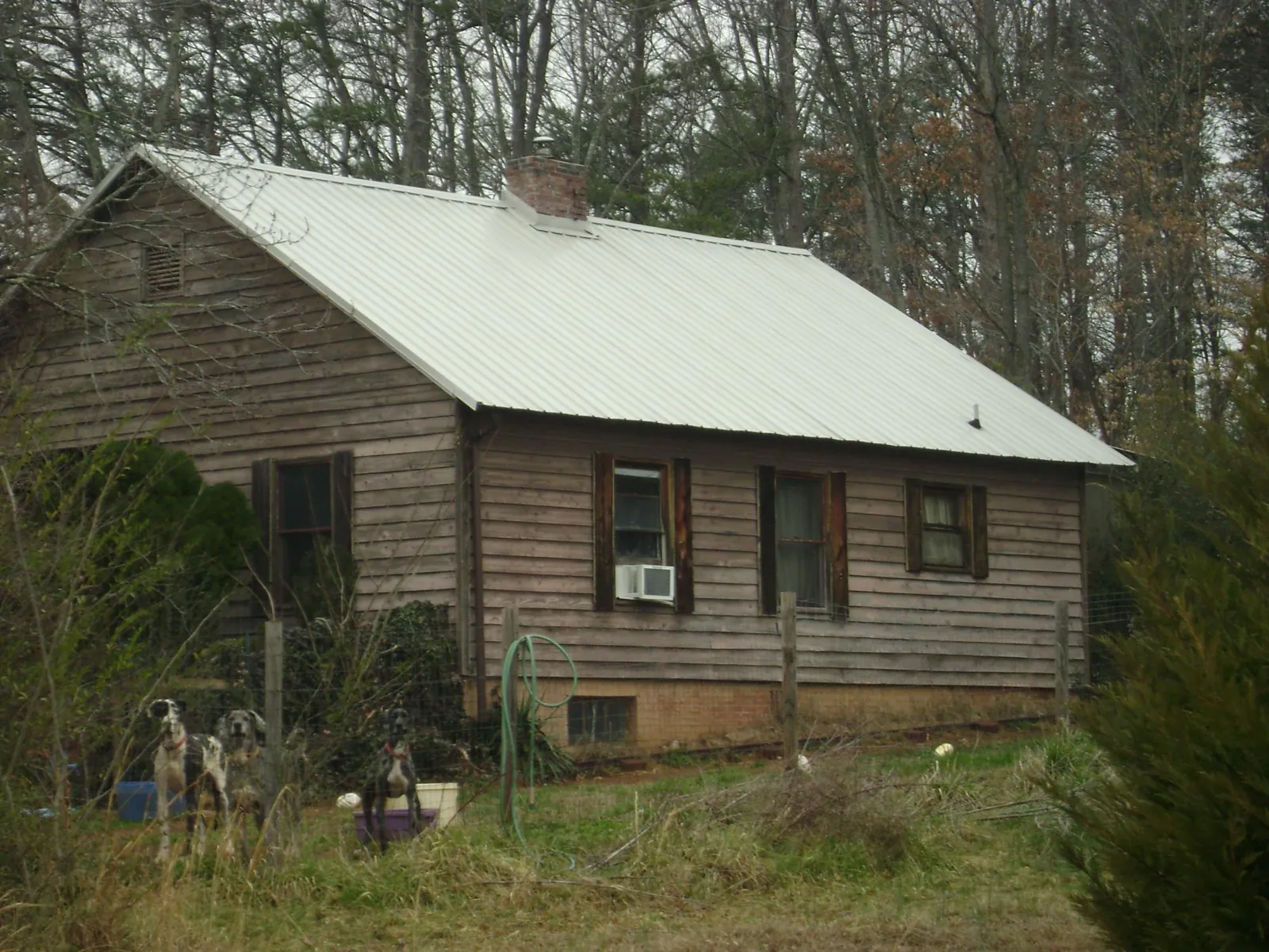 White metal roof on an old wood sided farmhouse, from a Asphalt Shingle Roof Repair job in Townsend